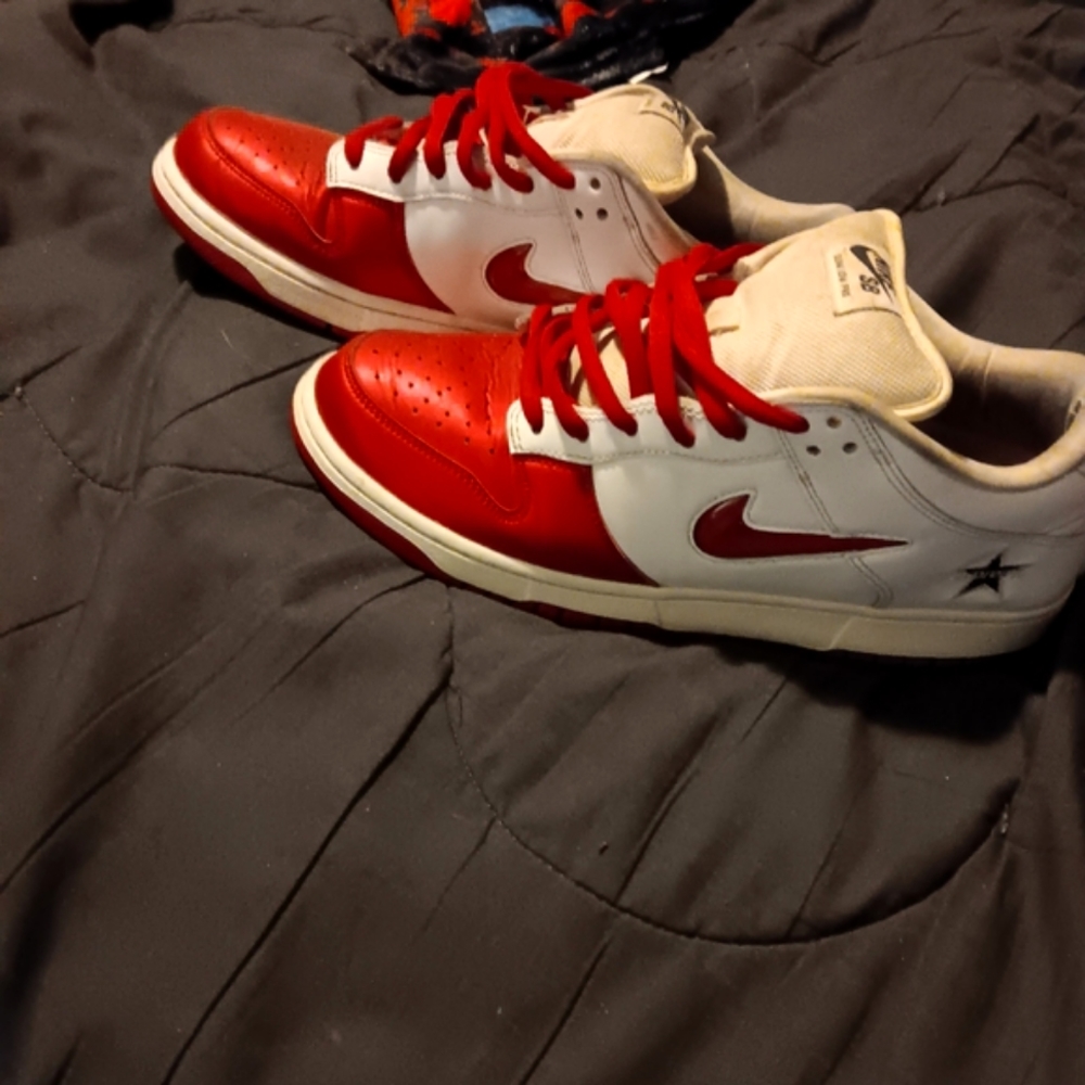 Supreme dunks